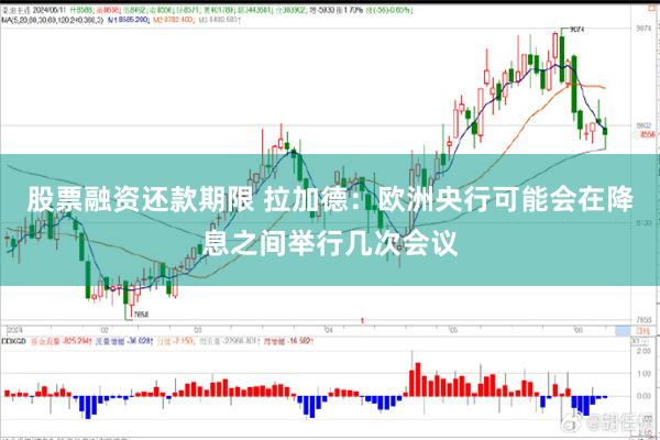 股票融资还款期限 拉加德：欧洲央行可能会在降息之间举行几次会议