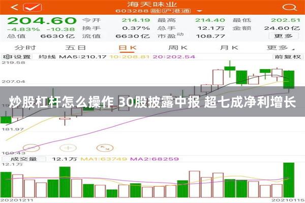 炒股杠杆怎么操作 30股披露中报 超七成净利增长