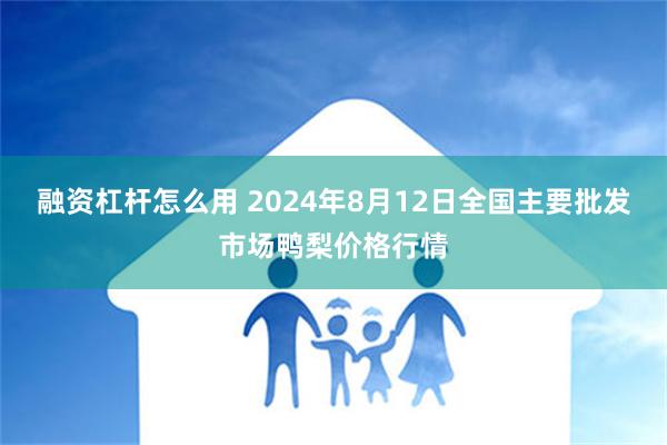 融资杠杆怎么用 2024年8月12日全国主要批发市场鸭梨价格行情