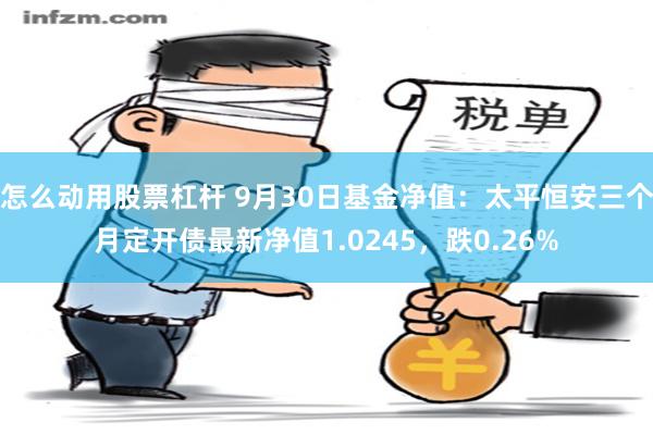 怎么动用股票杠杆 9月30日基金净值：太平恒安三个月定开债最新净值1.0245，跌0.26%