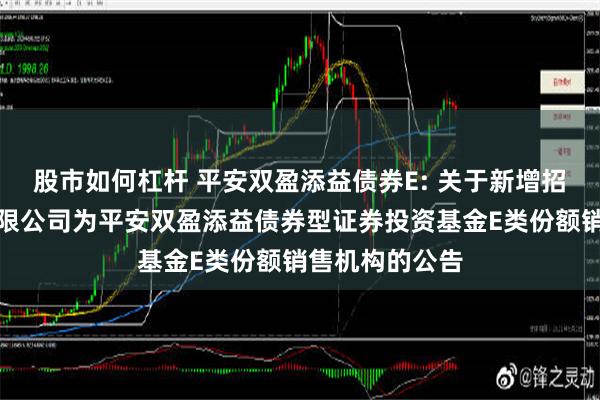 股市如何杠杆 平安双盈添益债券E: 关于新增招商证券股份有限公司为平安双盈添益债券型证券投资基金E类份额销售机构的公告