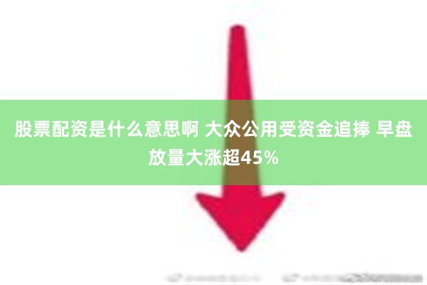 股票配资是什么意思啊 大众公用受资金追捧 早盘放量大涨超45%