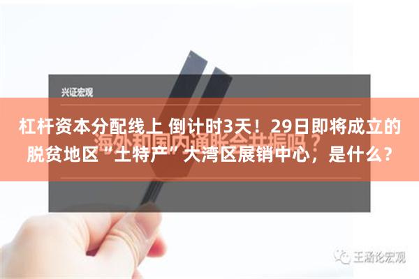 杠杆资本分配线上 倒计时3天！29日即将成立的脱贫地区“土特产”大湾区展销中心，是什么？