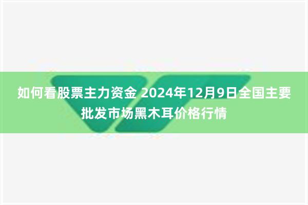 如何看股票主力资金 2024年12月9日全国主要批发市场黑木耳价格行情