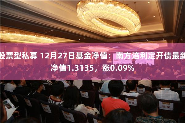 股票型私募 12月27日基金净值：南方涪利定开债最新净值1.3135，涨0.09%