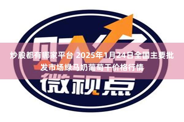 炒股都有哪家平台 2025年1月24日全国主要批发市场绿马奶葡萄干价格行情