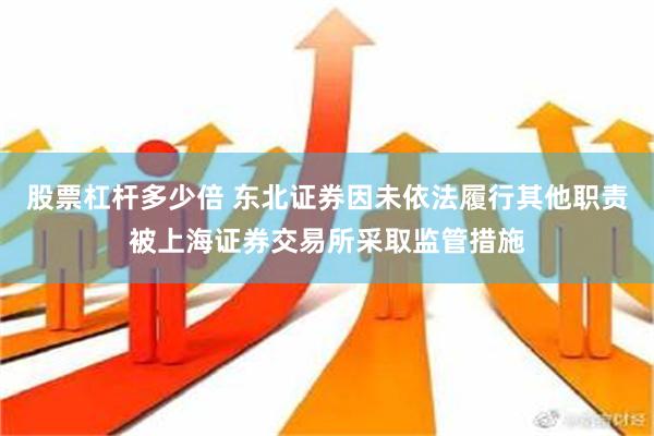 股票杠杆多少倍 东北证券因未依法履行其他职责被上海证券交易所采取监管措施