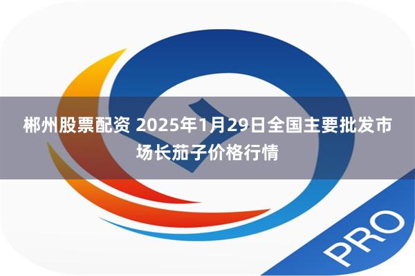 郴州股票配资 2025年1月29日全国主要批发市场长茄子价格行情